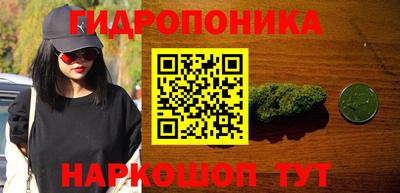 прущие грибы Ипатово