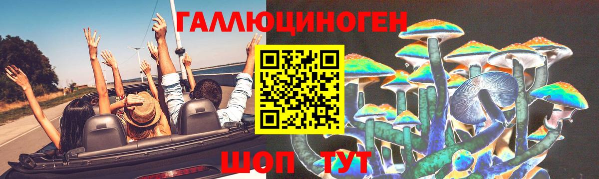 купить закладку  Галлюциногенные грибы прущие грибы  Вход с VPN  Королёв  Псилоцибиновые грибы MAGIC MUSHROOMS 